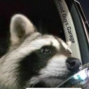 Meet your Posher, Matt